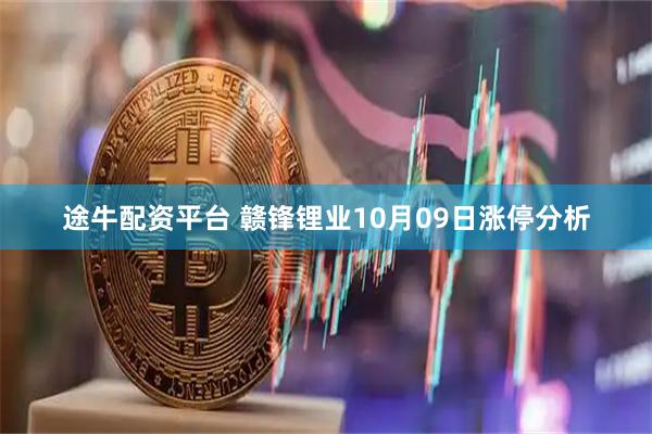 途牛配资平台 赣锋锂业10月09日涨停分析