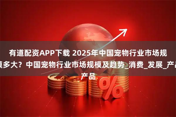 有道配资APP下载 2025年中国宠物行业市场规模多大？中国宠物行业市场规模及趋势_消费_发展_产品