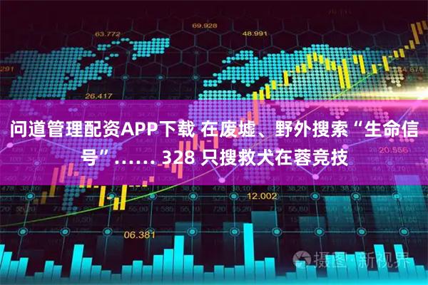 问道管理配资APP下载 在废墟、野外搜索“生命信号”…… 328 只搜救犬在蓉竞技