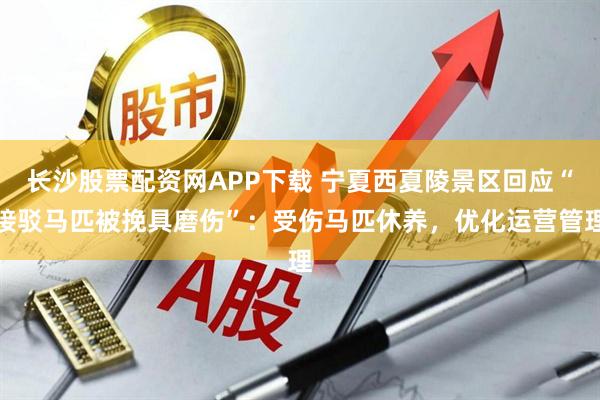 长沙股票配资网APP下载 宁夏西夏陵景区回应“接驳马匹被挽具磨伤”：受伤马匹休养，优化运营管理